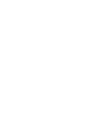  LA PLACICA DE LOS PATOS